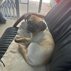 Nala